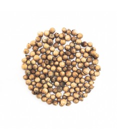 Semillas de Cilnatro