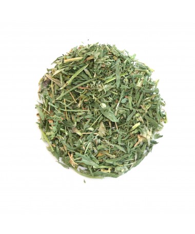 Hoja de Alfalfa