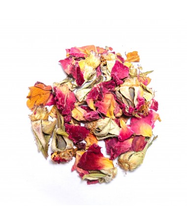 Pétalos de Rosa/Canina