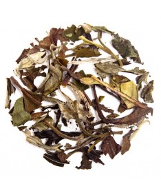 Pai Mu Tan (White Peony)